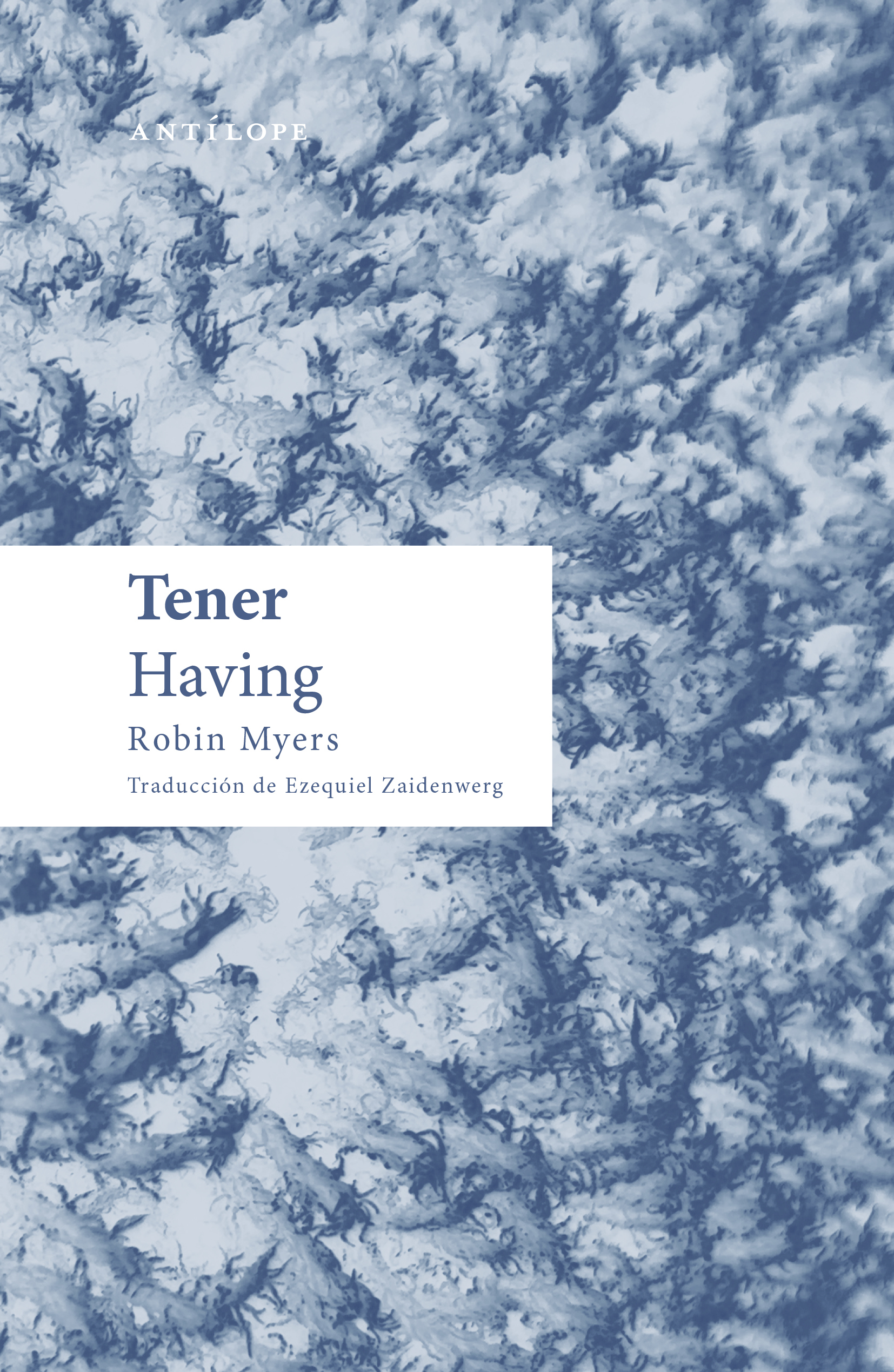Tener
